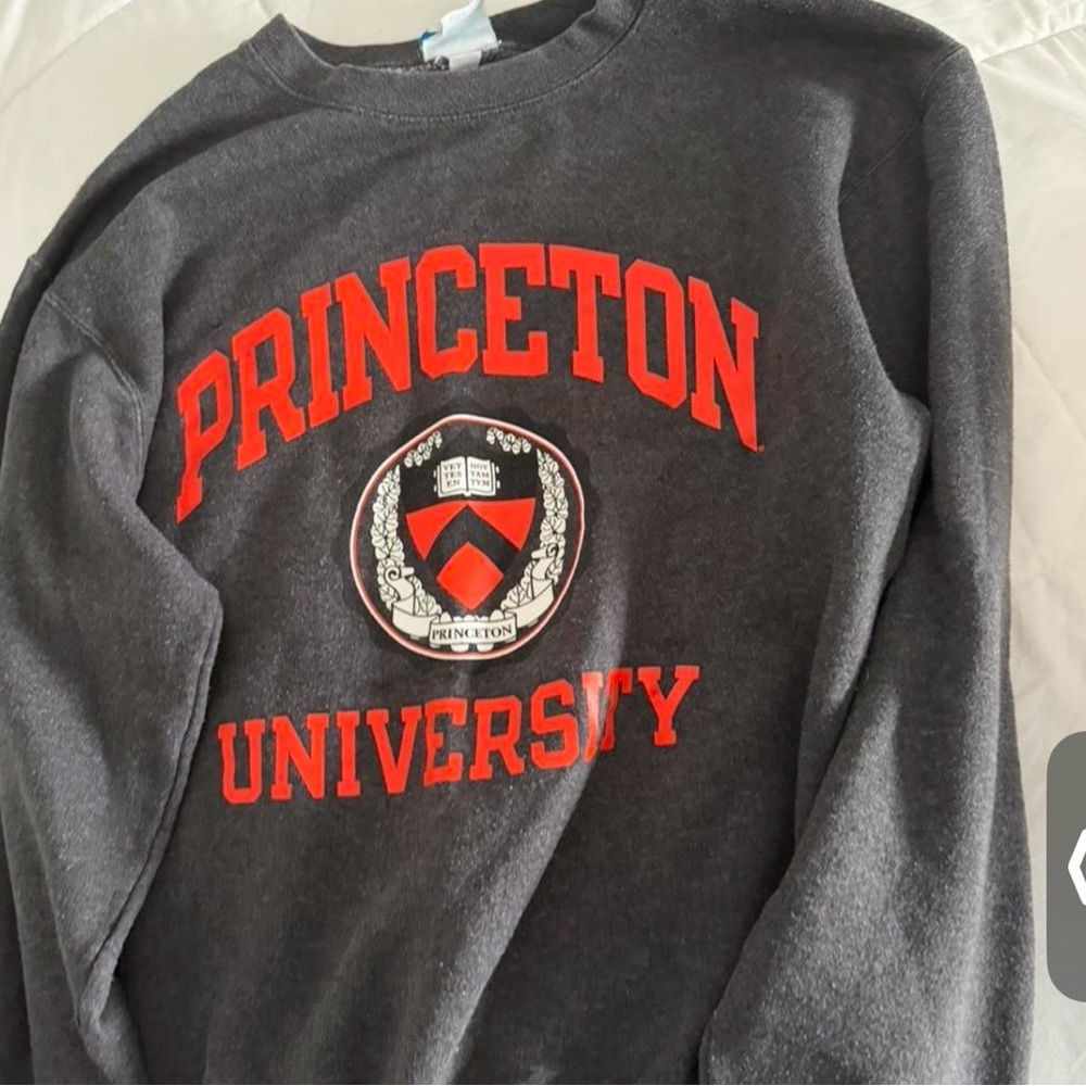Princeton University Gray and orange Sweater